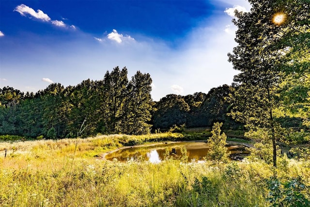 view of nature featuring a water view