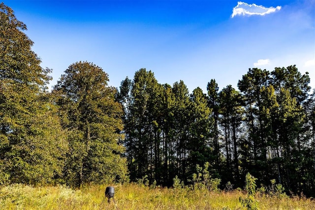 view of local wilderness