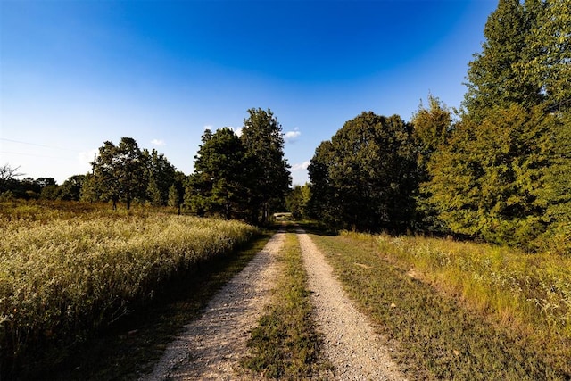 view of road with a rural view