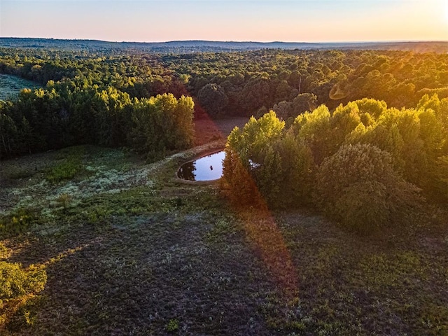 aerial view at dusk featuring a water view