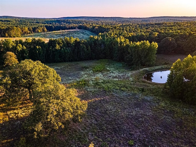 aerial view at dusk with a water view