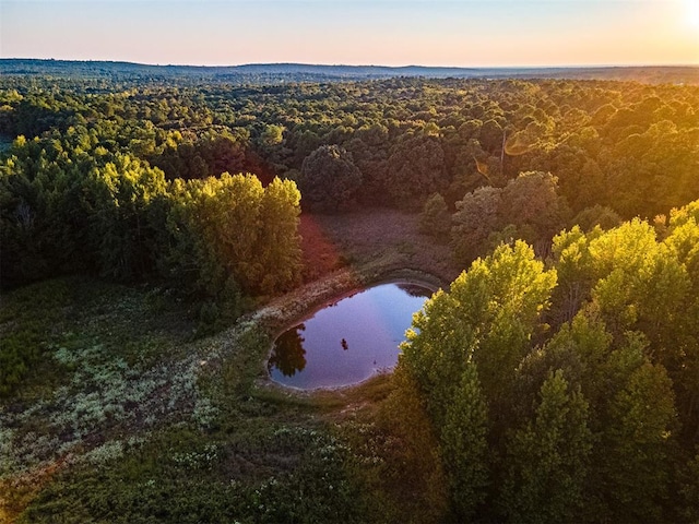 aerial view at dusk with a water view