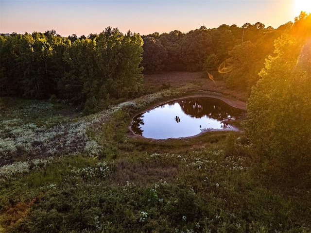 nature at dusk featuring a water view