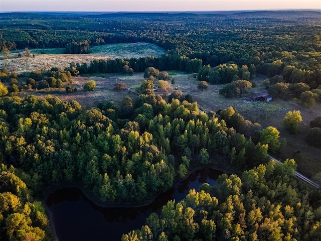 aerial view at dusk with a water view