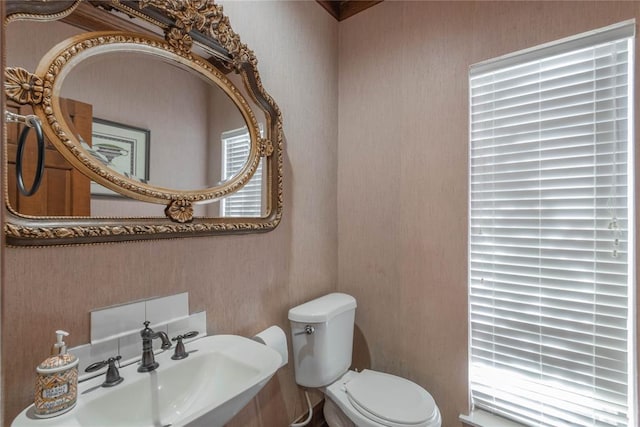 bathroom featuring toilet, plenty of natural light, and sink