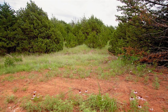 7427 Redbud Trl, Guthrie, OK 73044 - photo 3