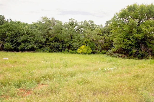 7427 Redbud Trl, Guthrie, OK 73044 - photo 4