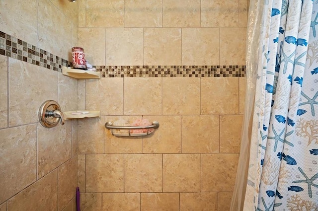 interior details featuring walk in shower