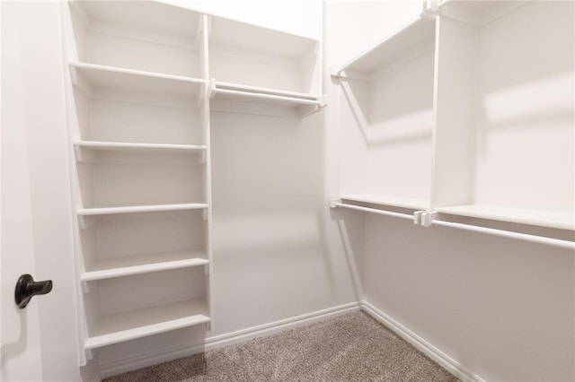 walk in closet with carpet flooring