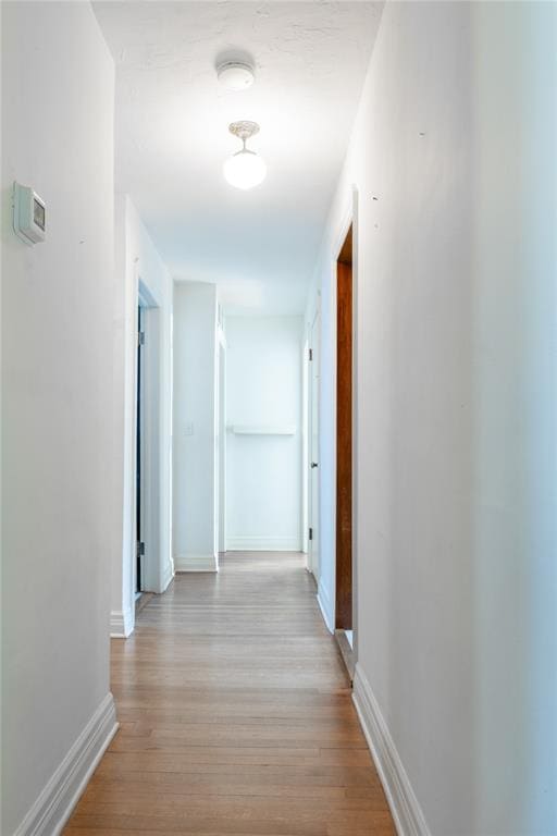 hallway with light wood-type flooring