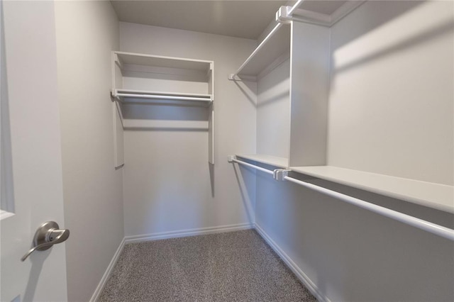 spacious closet with carpet