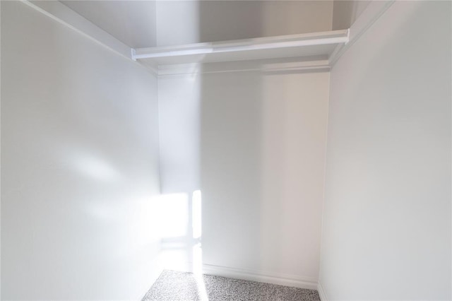 spacious closet featuring carpet floors