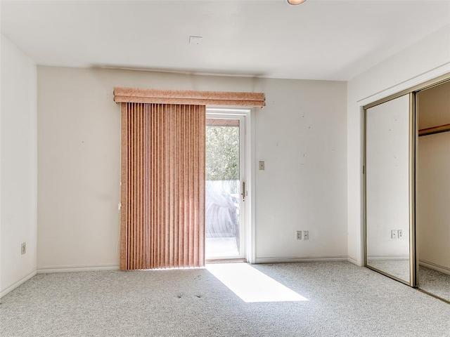 interior space featuring carpet flooring and a closet