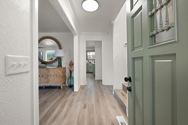 hallway with sink, light hardwood / wood-style flooring, and ornamental molding