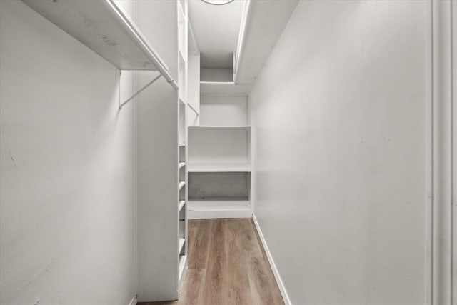 walk in closet featuring hardwood / wood-style floors