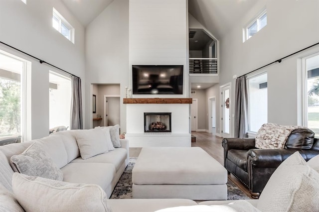 living room featuring hardwood / wood-style flooring and high vaulted ceiling