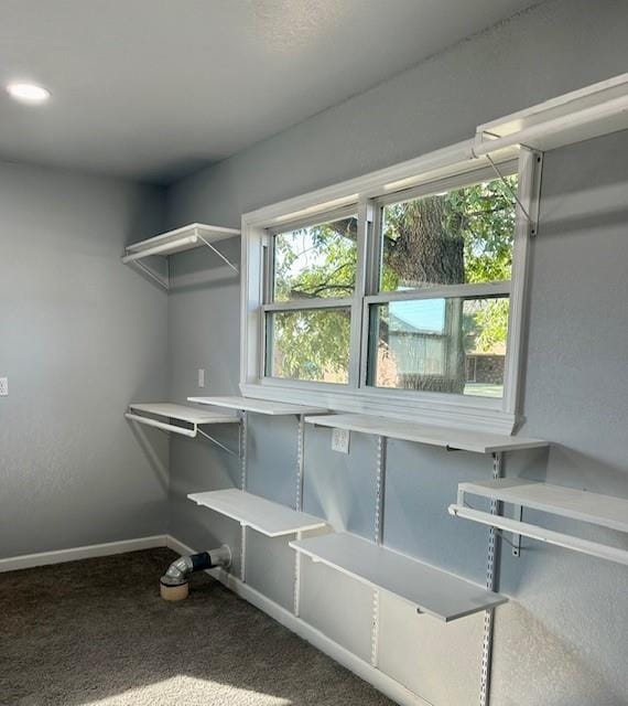 walk in closet featuring carpet