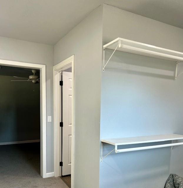 walk in closet featuring ceiling fan and carpet