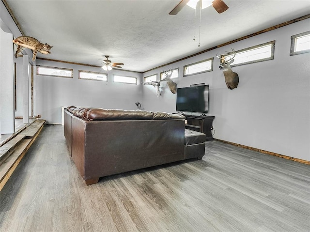 living room featuring light hardwood / wood-style flooring