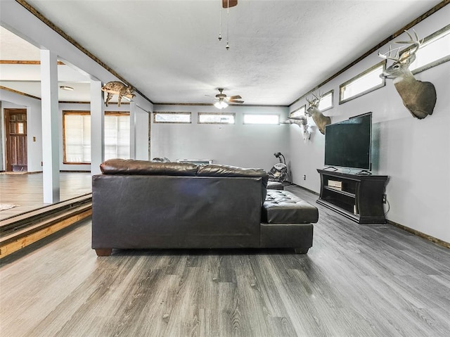 living room with ceiling fan and hardwood / wood-style flooring