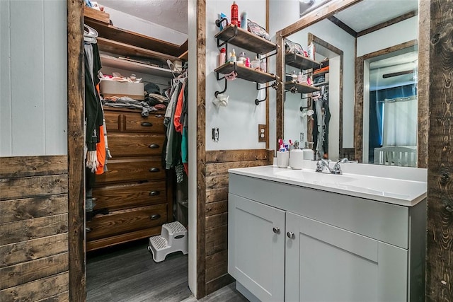 bathroom featuring hardwood / wood-style flooring and vanity