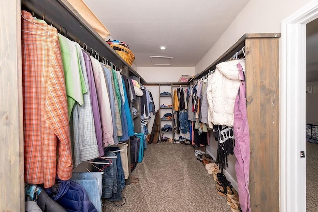 611 Wichita Ave, Devol, OK 73531 - walk in closet featuring attic access and carpet flooring