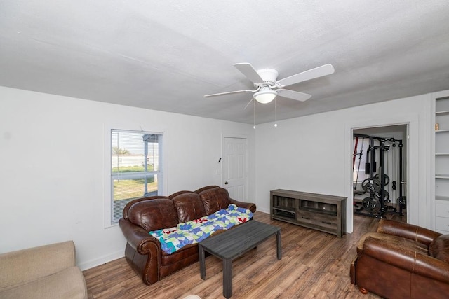 living room with ceiling fan and hardwood / wood-style flooring