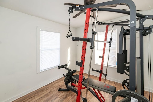 exercise room featuring wood-type flooring and a wealth of natural light