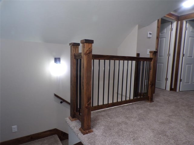 stairway featuring carpet flooring