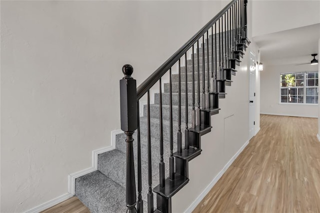 stairway featuring ceiling fan and wood-type flooring