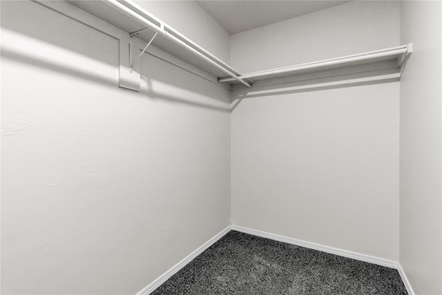 walk in closet featuring carpet floors