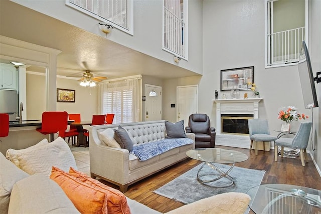 living room with ceiling fan and hardwood / wood-style floors