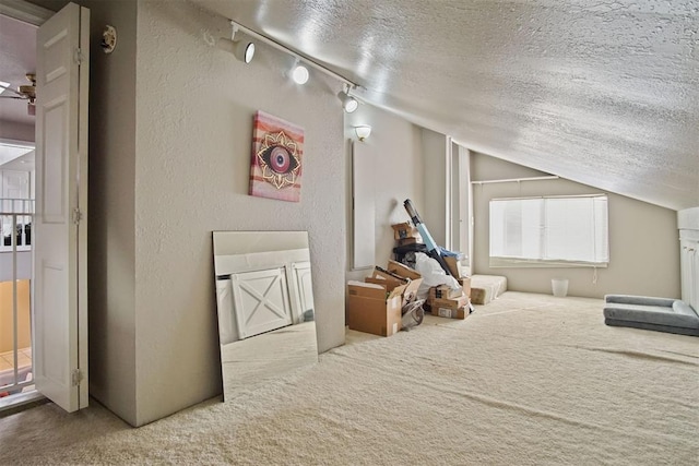 interior space with lofted ceiling, a textured ceiling, and carpet floors