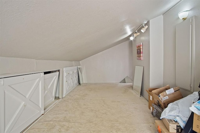 additional living space featuring a textured ceiling, light carpet, and vaulted ceiling