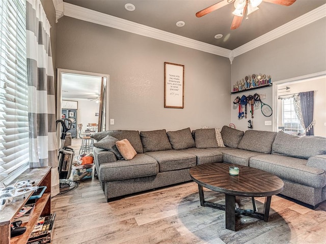 living room featuring light hardwood / wood-style floors and crown molding