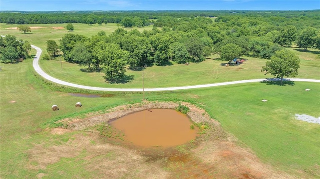 drone / aerial view featuring a rural view and a water view