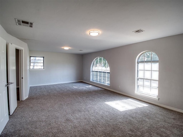 carpeted empty room with a wealth of natural light