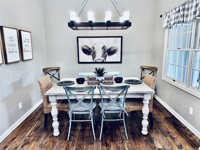 dining room with dark hardwood / wood-style floors