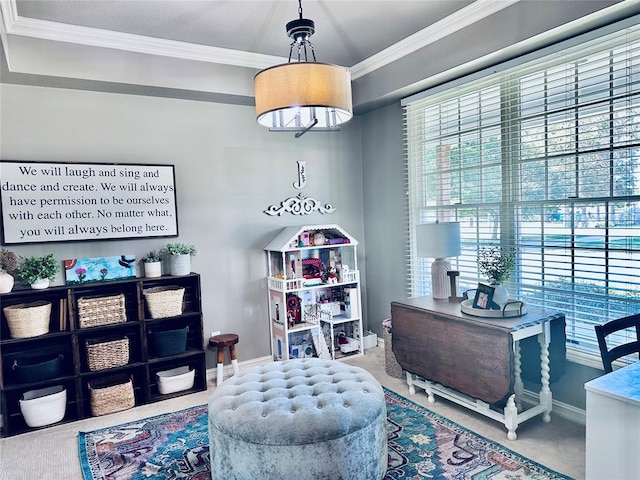 living area featuring carpet and ornamental molding