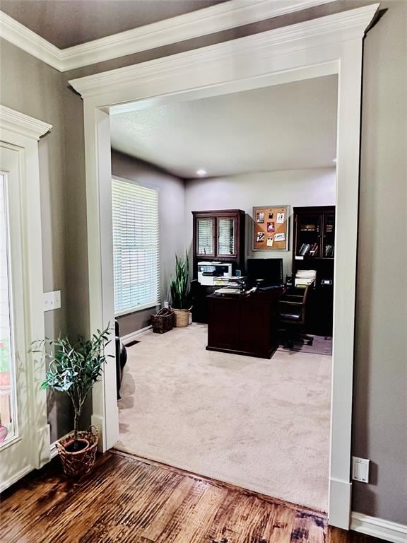 carpeted office featuring crown molding