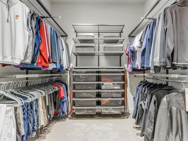 walk in closet featuring carpet floors