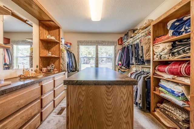 spacious closet featuring light colored carpet