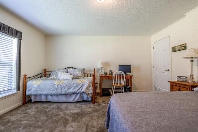 713 Terrace Pl, Sulphur, OK 73086 - photo 41