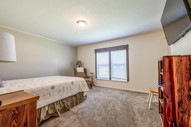 713 Terrace Pl, Sulphur, OK 73086 - photo 43