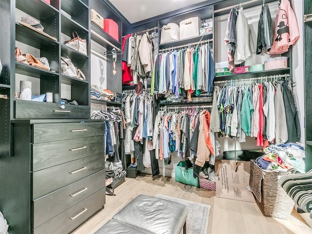 spacious closet with light hardwood / wood-style floors