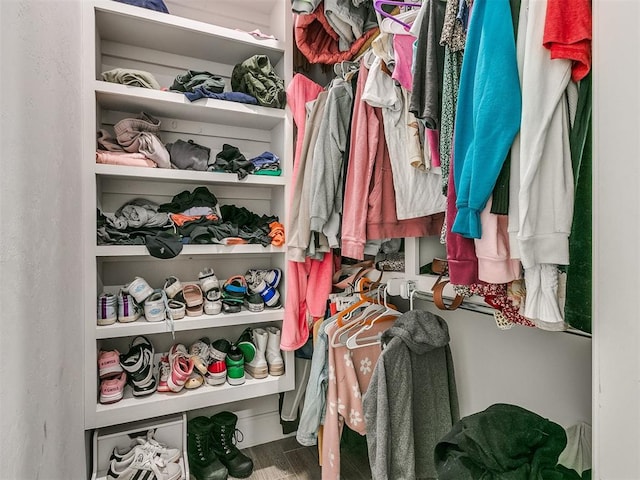 spacious closet with hardwood / wood-style flooring