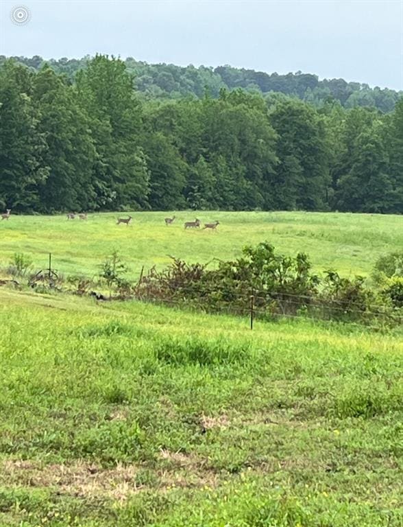 view of nature featuring a rural view