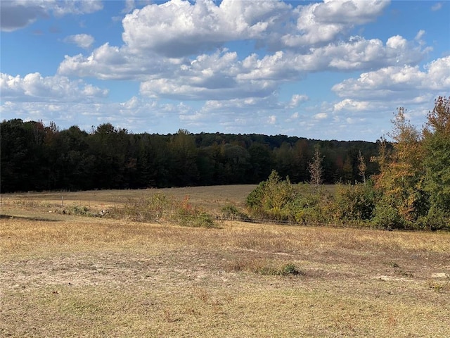 view of landscape with a rural view