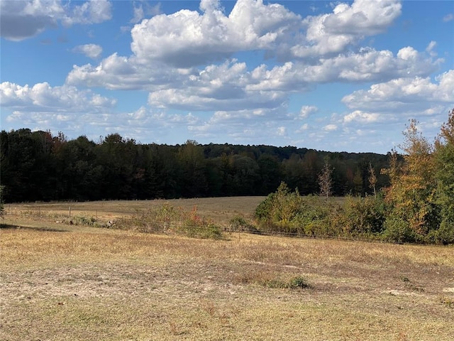 view of landscape featuring a rural view