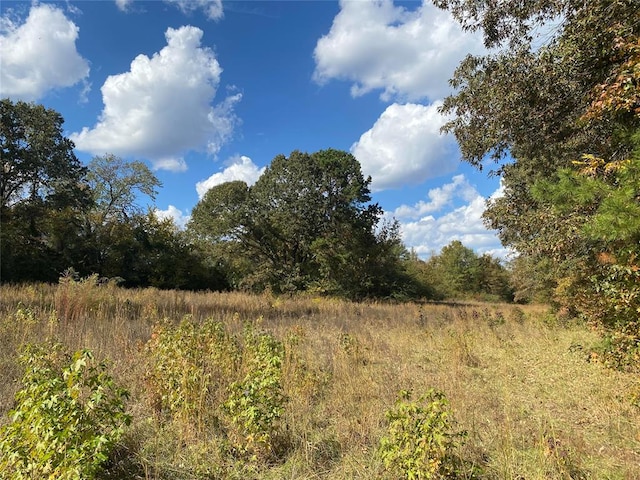 view of local wilderness